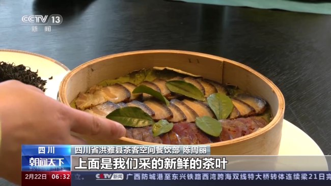 今年春茶全(quán)面開采 開采期(qī)較去年提前