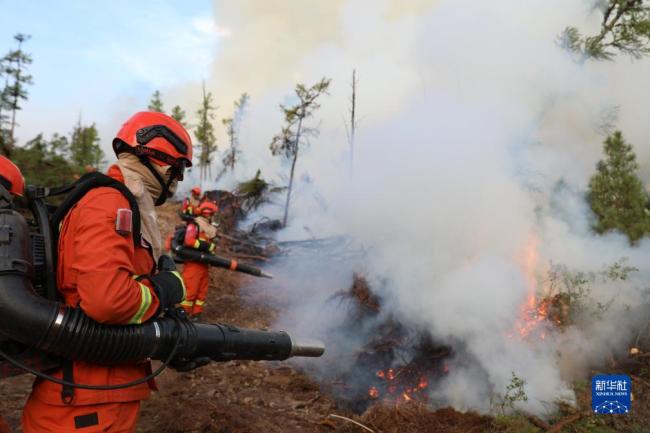 内蒙古(gu)大興安(ān)嶺發生(sheng)多起森(sēn)林火災(zāi) 各方正(zhèng)積極撲(pū)救