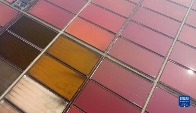 天津：千(qiān)年鹽場(chǎng)迎豐收(shou)